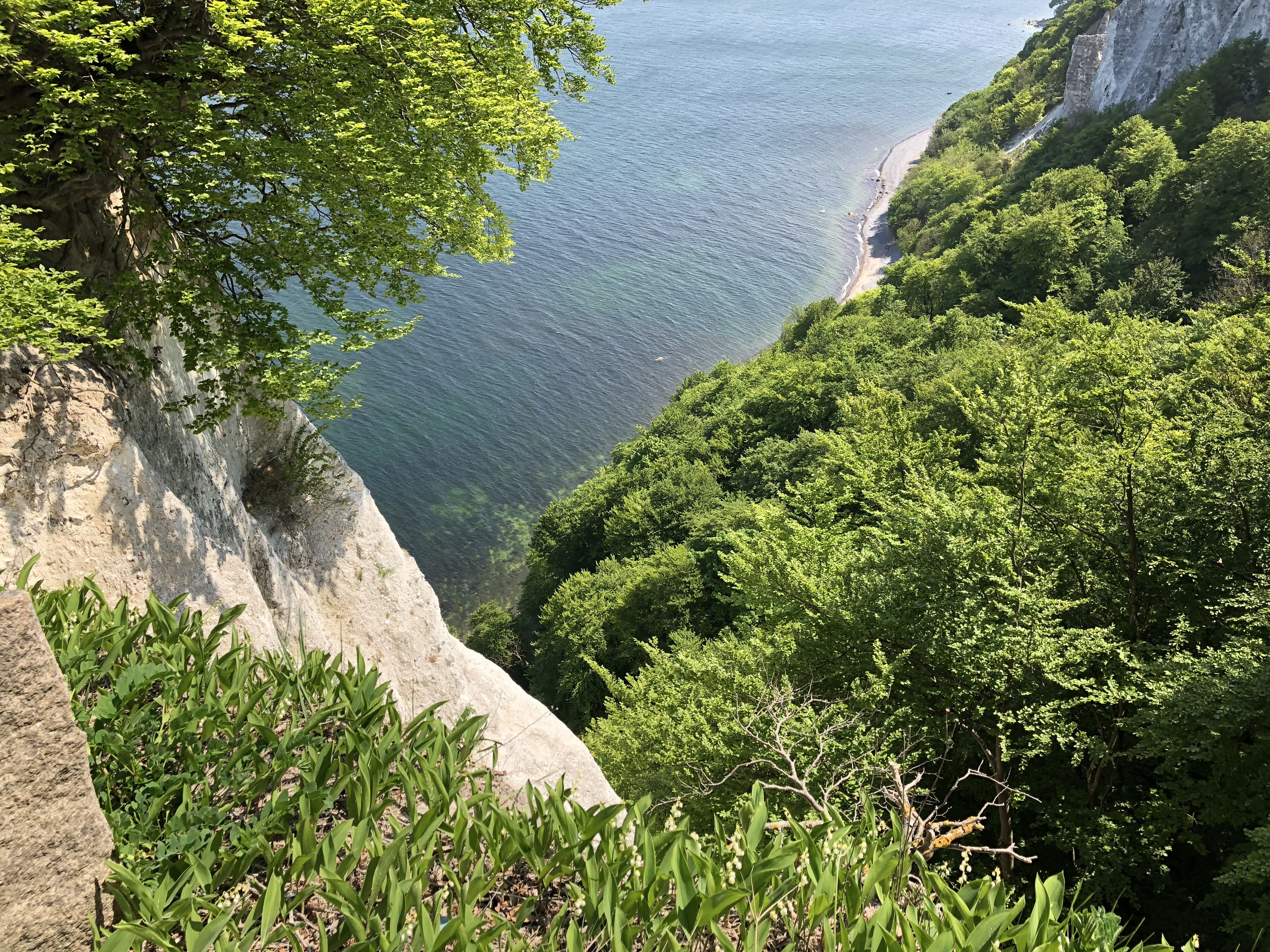 Kridtklipper på Rügen