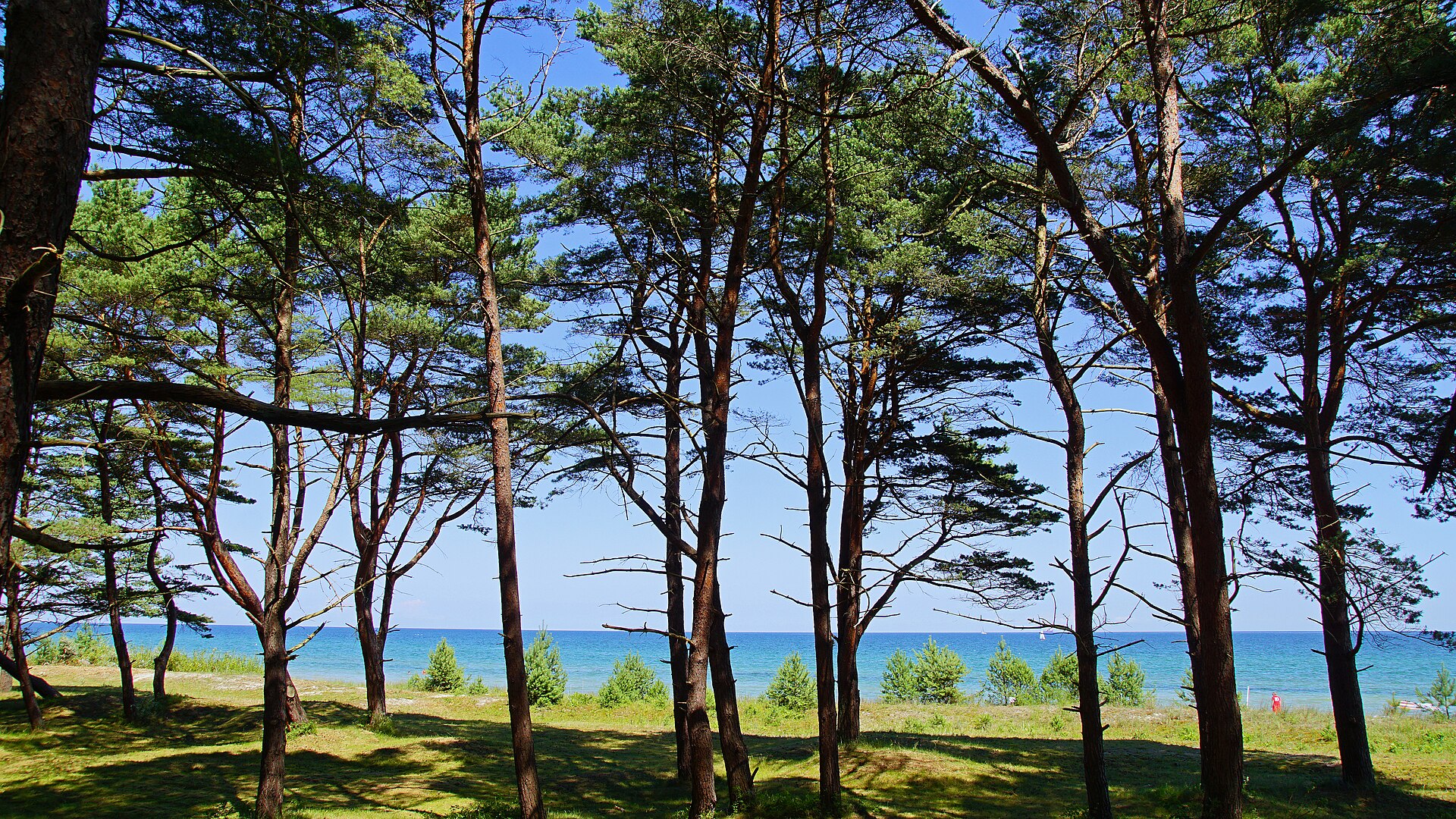 Stemningsbillede af Rügen