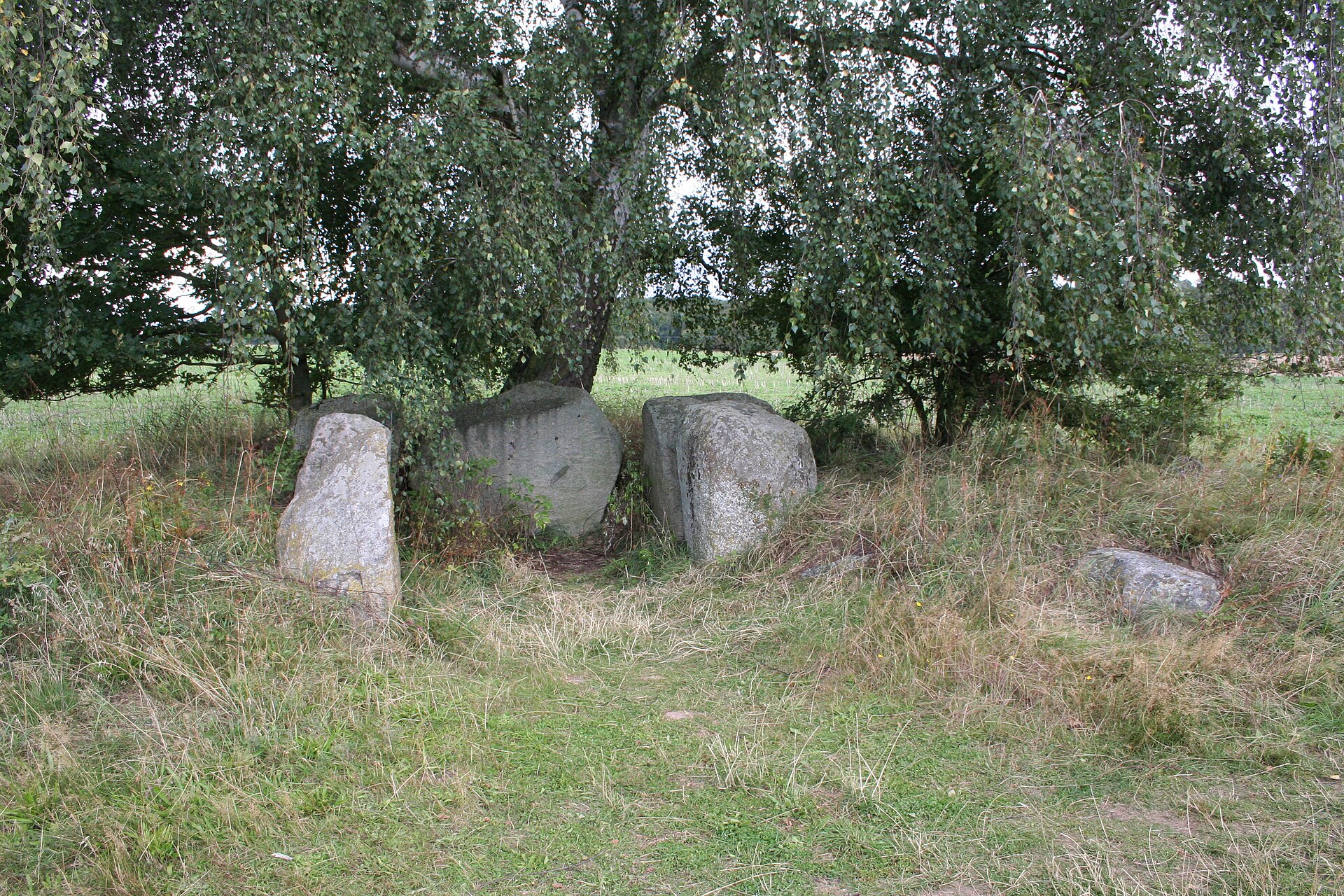 Großsteingrab Burtevitz 1